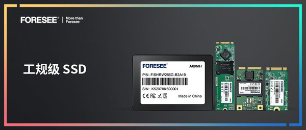 FORESEE工规级SSD